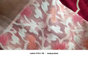 Peach Organza Brasso Saree