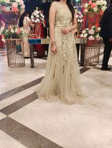 A Beautiful Ethnic Gown