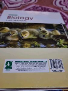 Evergreen Class 11 Biology Lab Manual