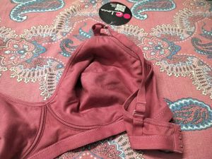 Cotton Daily Wear Bra Clovia