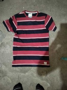 Striped Short Sleeve T-Shirt