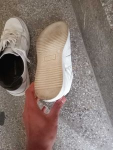 Hush Puppies White Casual Sneakers