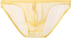 men's mesh low waist pouch Briefs