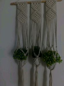 Plant Wall Hanging