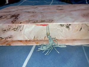 Hamper Box