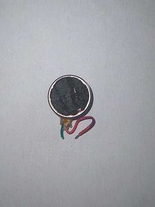 Vibrating Mini Motor