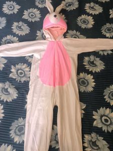 5 Year Old Rabbit Dress