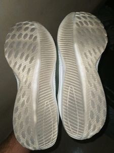 Campus Shoes