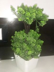 Pot