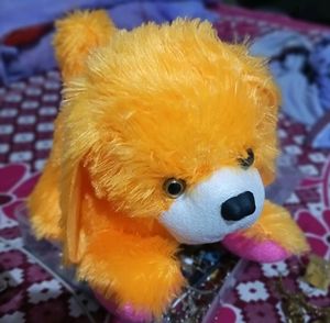 Soft Dog