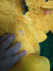 Duck Plushies - Bundle of Joy!