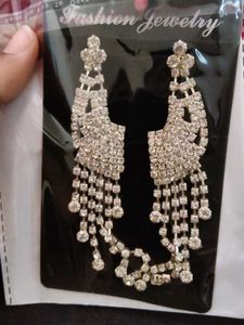 Sparkling Dangle Earrings