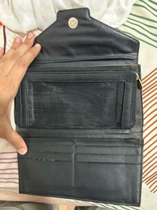 Baggit Wallet