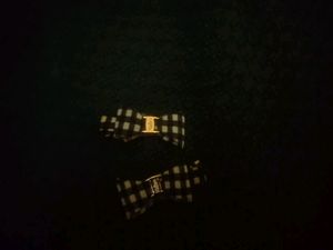Chequered Charm Clips