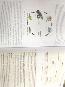 Pearson Foundation Biology - Class 9