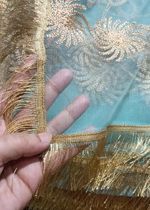 Fancy Net Embroidered Dupatta with four side lace