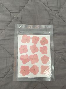 Resin Dried Pressed Flowers