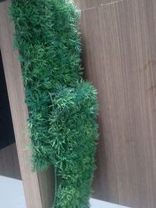 Artificial Grass