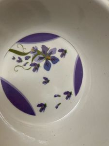 Combo Of 8 Melamine Katoris