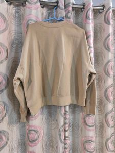 h&amp;m Yale Bulldog Sweatshirt