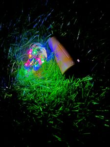 Colouring Rice Lights