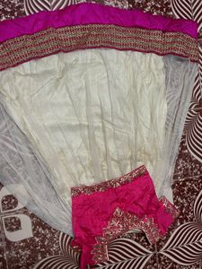 Price Dropped ..Net Lehenga Designer Blouse