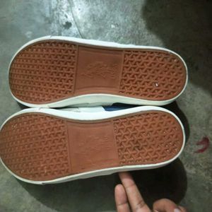 US Polo Assn. White Canvas Sneakers
