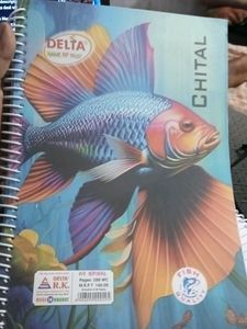 Delta A4 Spiral Notebook