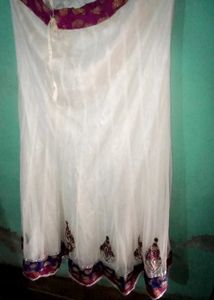 Elegant Ethnic Skirt