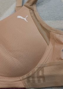Puma Padded Bra 36B