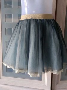 Tulle Skirt