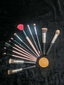 13 Makeup Brushes .