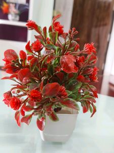 2 Combo Flower With Vash