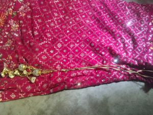 Rani Pink Lehnga