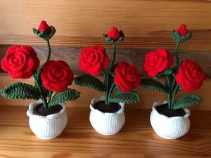 Crochet Rose Flowers With Pot