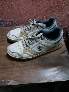 Used Sneakers