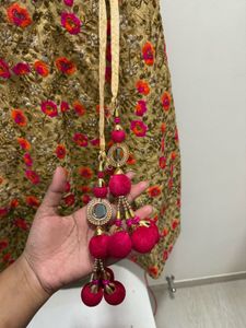 Beautiful Chaniya Choli