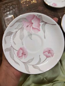 Fine Bone China Plates