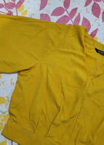 Gold V-Neck Flared Sleeve Top