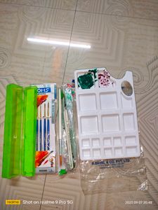 Drawing Plate With 3 Used Dayal Company Brush &amp; 1 New Doms Brush Pack (Consisting 4 Different No Brushes) (16 A4 Art paper Sheets Free)
