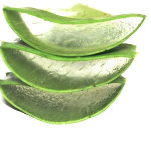 FRESH ALOEVERA , ORGANICALLY GROWN WITHOUT ANY CHEMICALS AND ETC, PURE AND NATURAL