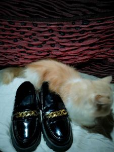 Loafers