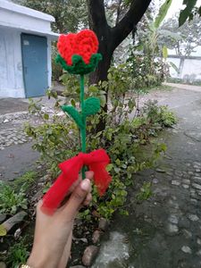 Crocheted Rose 🌹