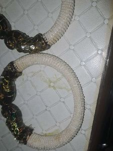 Peacock White Beads Kada