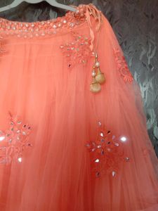 Peach Embellished Lehenga Skirt
