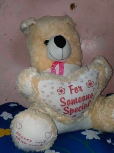 Teddy Bear