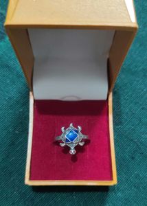 Pure silver Turtle Design Ring