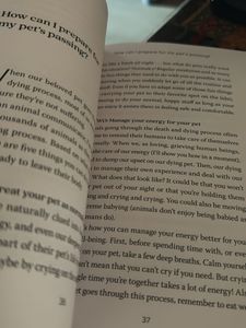 Animal Afterlife Book