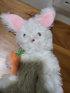Puppet  Rabbit Eating Carrot