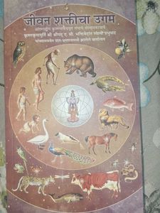 The Origin Of Life Force